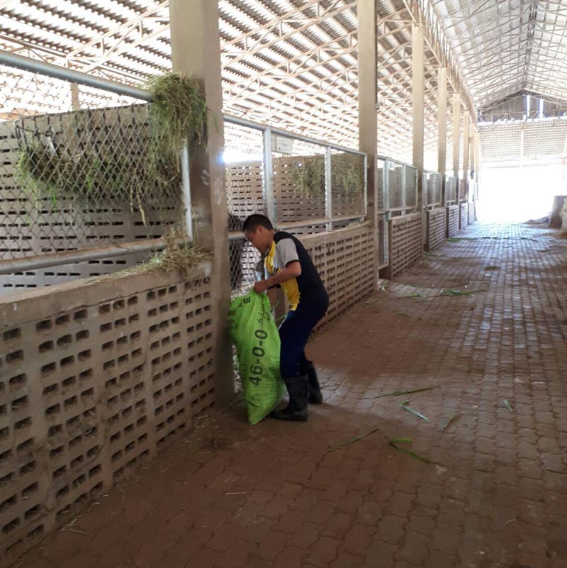 น้องปราบ ลูก สู่ขวัญ บูลกุล น้องปราบ ลูก สู่ขวัญ บูลกุล