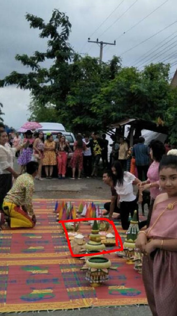 ออร์แกไนซ์ ออร์แกไนซ์