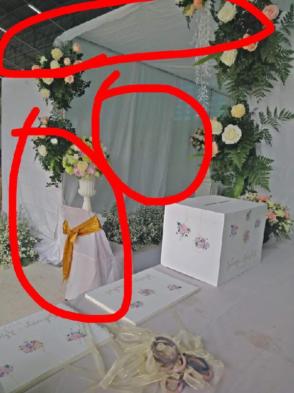 ออร์แกไนซ์ ออร์แกไนซ์