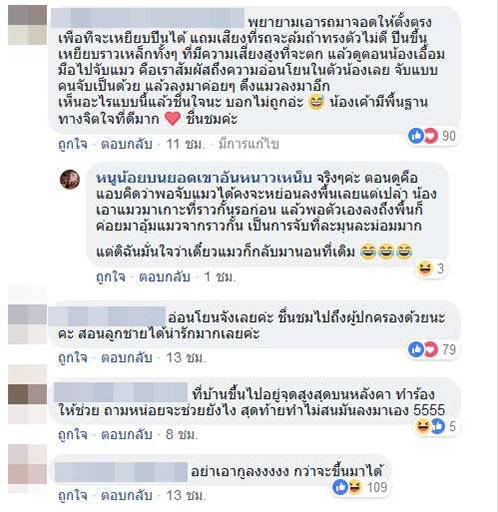 ช่วยแมว ช่วยแมว