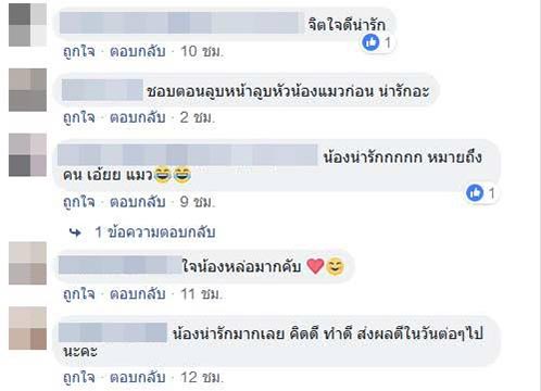 ช่วยแมว ช่วยแมว