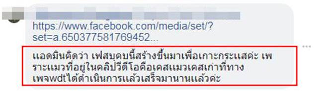 บีบคอแมวตาเหลือก บีบคอแมวตาเหลือก