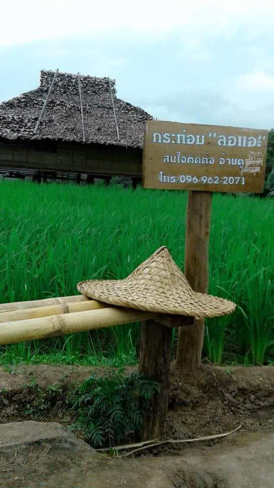 ที่พักป่าบงเปียง ที่พักป่าบงเปียง