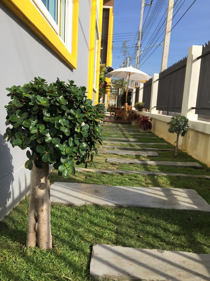 จัดสวนข้างบ้านทาวน์โฮม จัดสวนข้างบ้านทาวน์โฮม