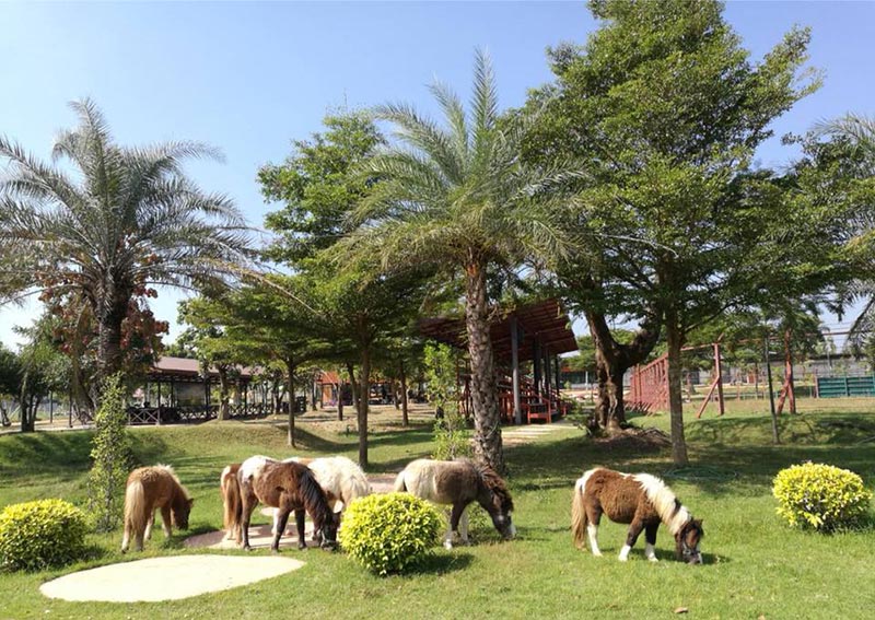 เที่ยวหนองบัวลำภู เที่ยวหนองบัวลำภู