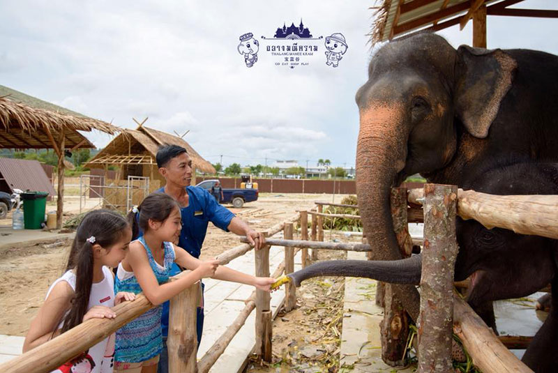 ถลางมณีคราม ภูเก็ต