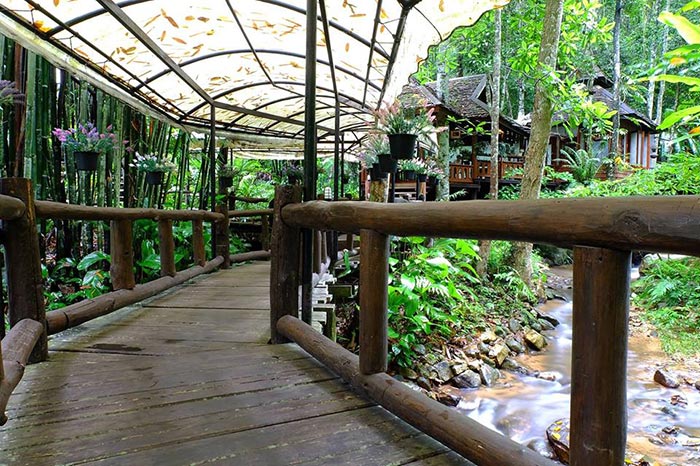 ร้านกาแฟแม่กำปอง เชียงใหม่