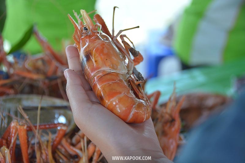 เทศกาลกินกุ้ง บางแพ เทศกาลกินกุ้ง บางแพ