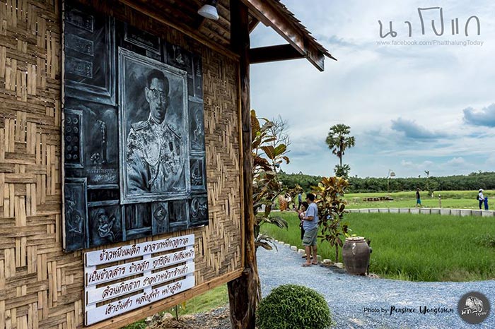 นาโปแก พัทลุง