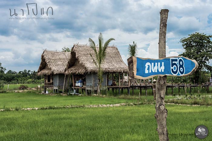 นาโปแก พัทลุง