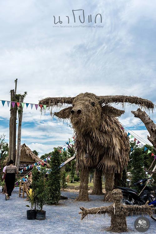 นาโปแก พัทลุง