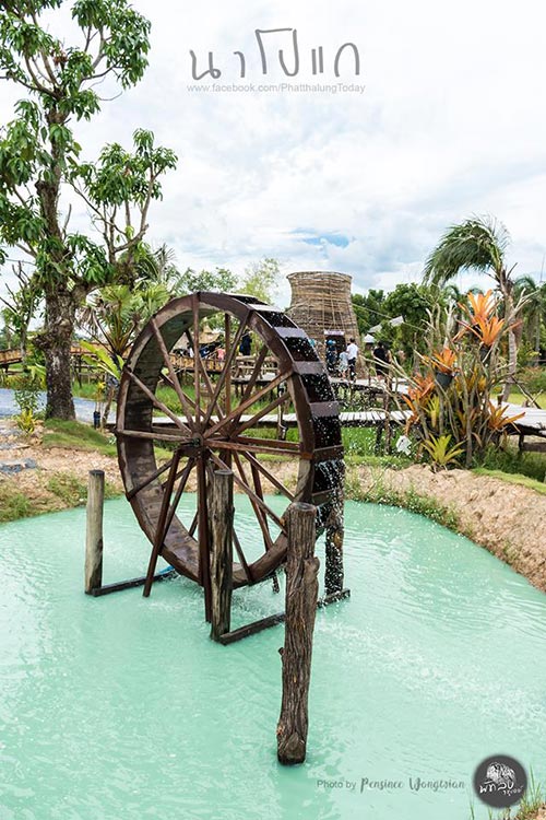 นาโปแก พัทลุง