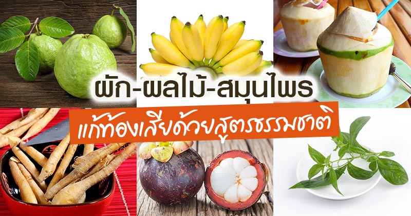 วิธีแก้ท้องเสีย วิธีแก้ท้องเสีย