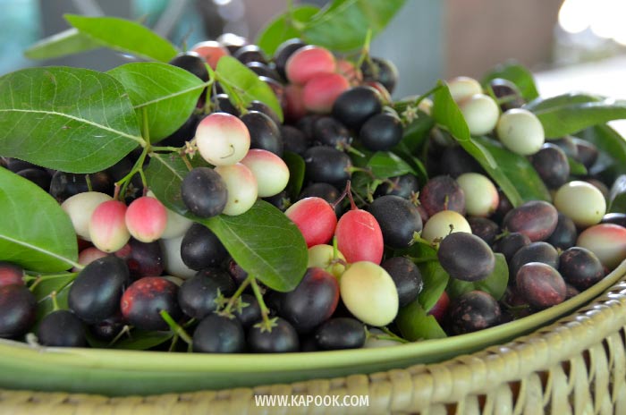 ตลาดน้ำประชารัฐสวนบัว ตลาดน้ำประชารัฐสวนบัว