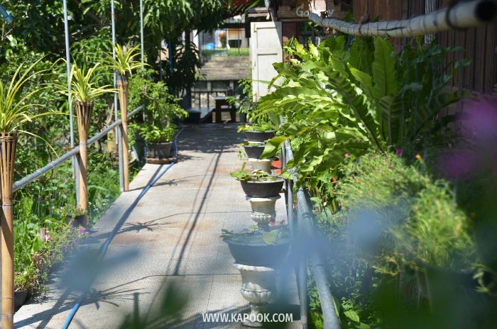 ตลาดน้ำประชารัฐสวนบัว ตลาดน้ำประชารัฐสวนบัว