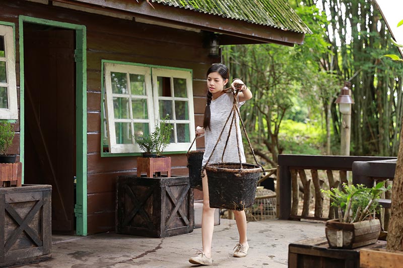 ดอกหญ้าในพายุ ดอกหญ้าในพายุ