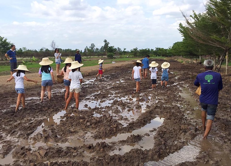 ที่เที่ยวธรรมชาติ ใกล้กรุงเทพ
