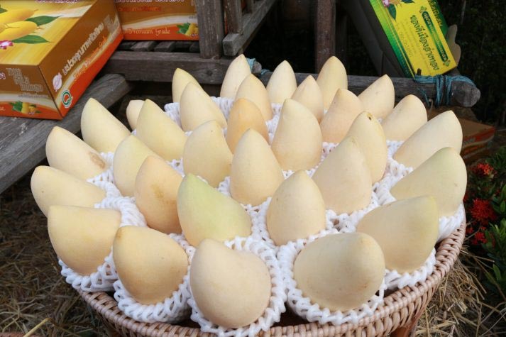 งานเกษตรและของดีเมืองอ่างทอง งานเกษตรและของดีเมืองอ่างทอง