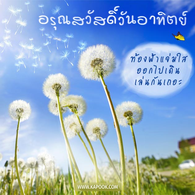 ดูดวงรายวัน ดูดวงรายวัน