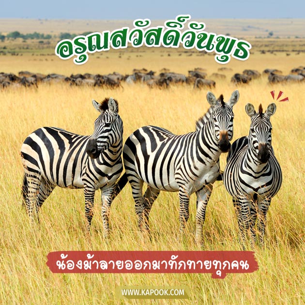 ดูดวงรายวัน ดูดวงรายวัน