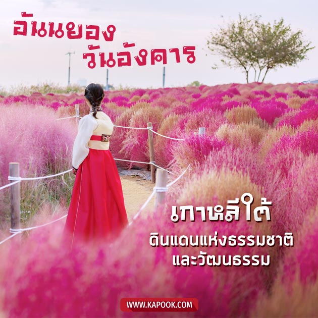 ดูดวงรายวัน ดูดวงรายวัน