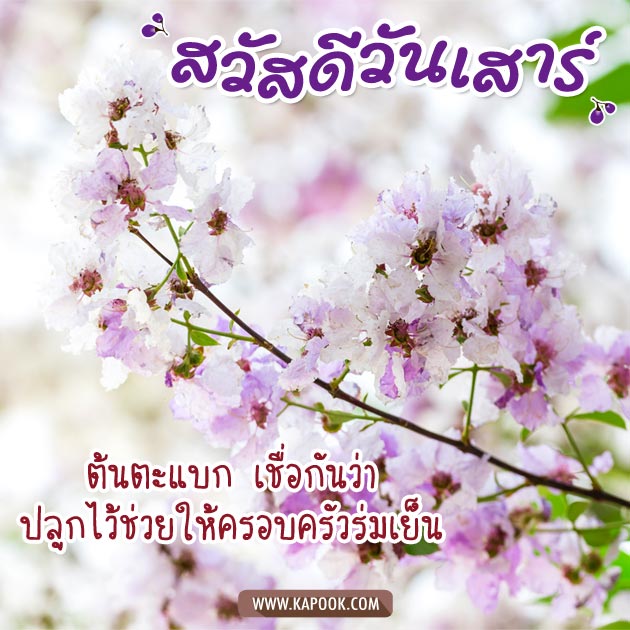 ดูดวงรายวัน ดูดวงรายวัน