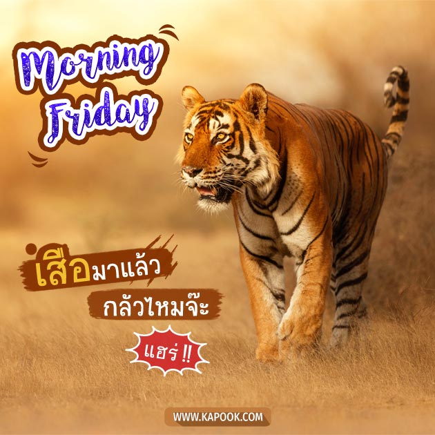 ดูดวงรายวัน ดูดวงรายวัน