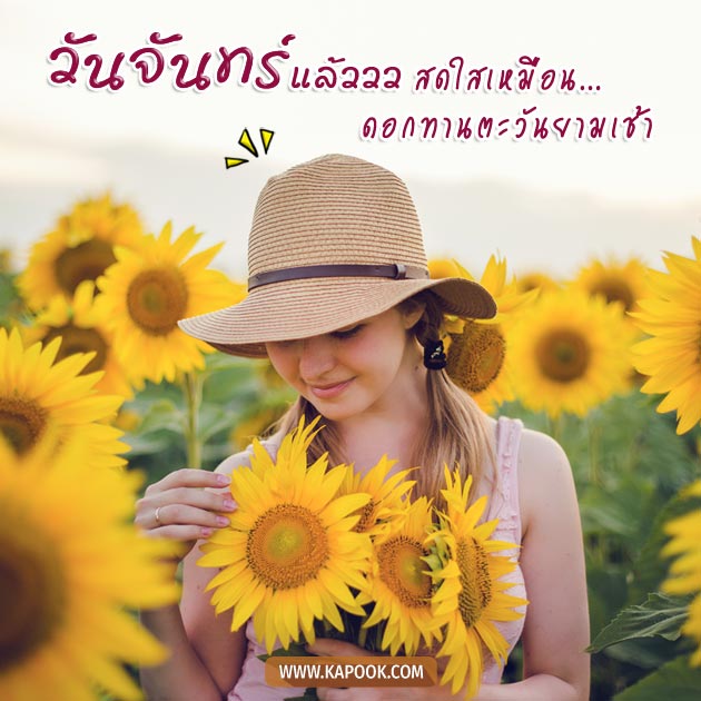 ดูดวงรายวัน ดูดวงรายวัน
