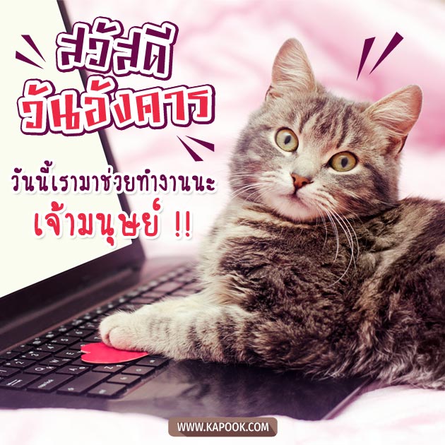 ดูดวงรายวัน ดูดวงรายวัน