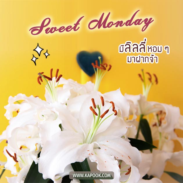 ดูดวงรายวัน ดูดวงรายวัน