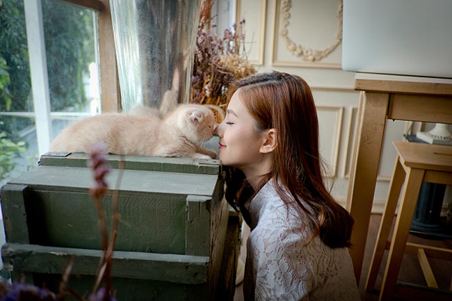 หาคู่ หาคู่