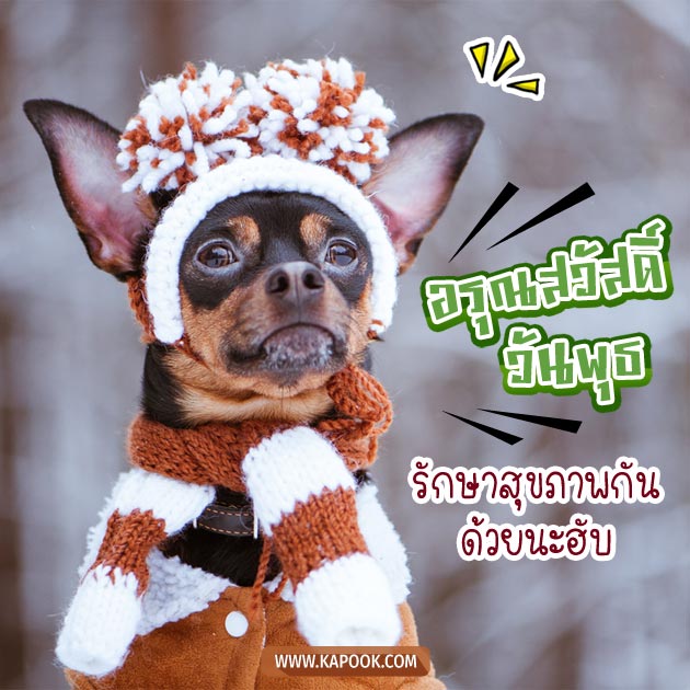 ดูดวงรายวัน ดูดวงรายวัน