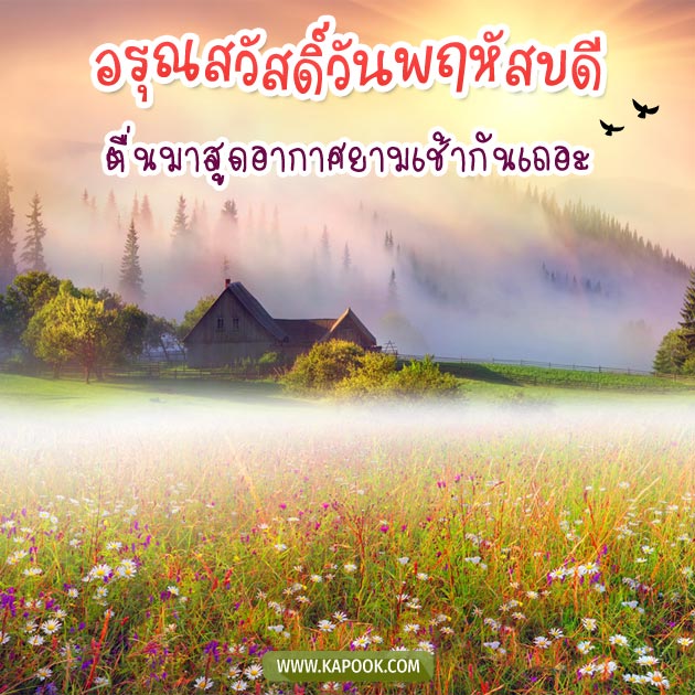 ดูดวงรายวัน ดูดวงรายวัน
