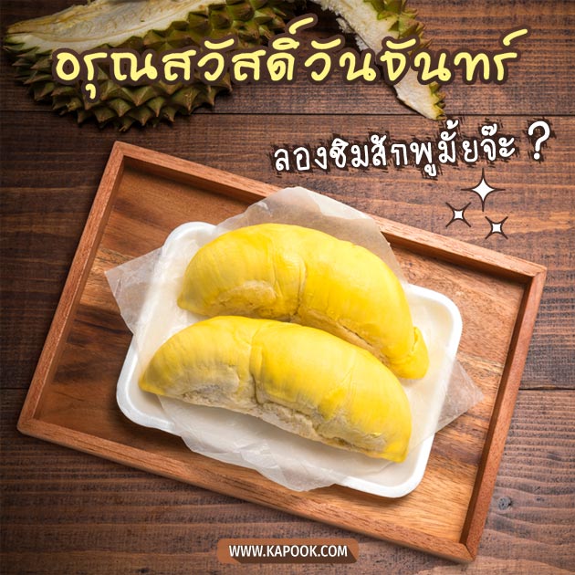ดูดวงรายวัน ดูดวงรายวัน