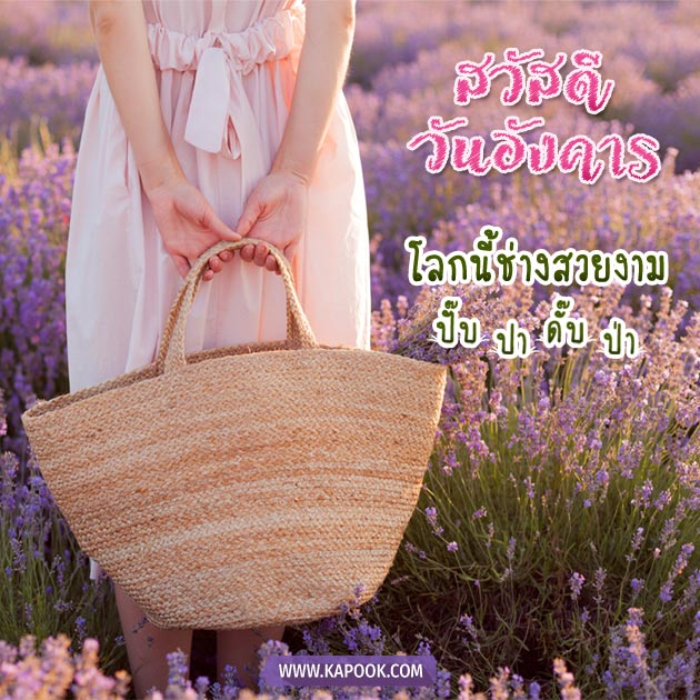 ดูดวงรายวัน ดูดวงรายวัน
