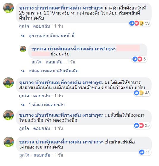 หมารอเจ้าของ หมารอเจ้าของ