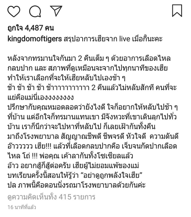 แมวอโศก แมวอโศก
