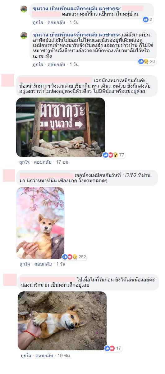 หมารอเจ้าของ หมารอเจ้าของ