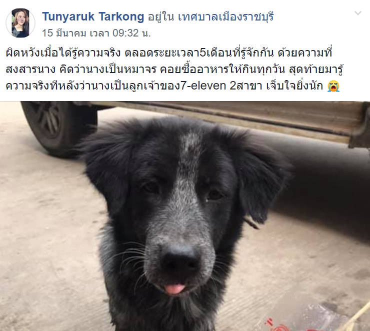 หมาหน้าเซเว่น หมาหน้าเซเว่น