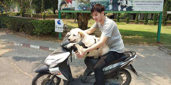 อาจารย์-นศ. พาหมาทั้ง มช. อาบน้ำ อาจารย์-นศ. พาหมาทั้ง มช. อาบน้ำ