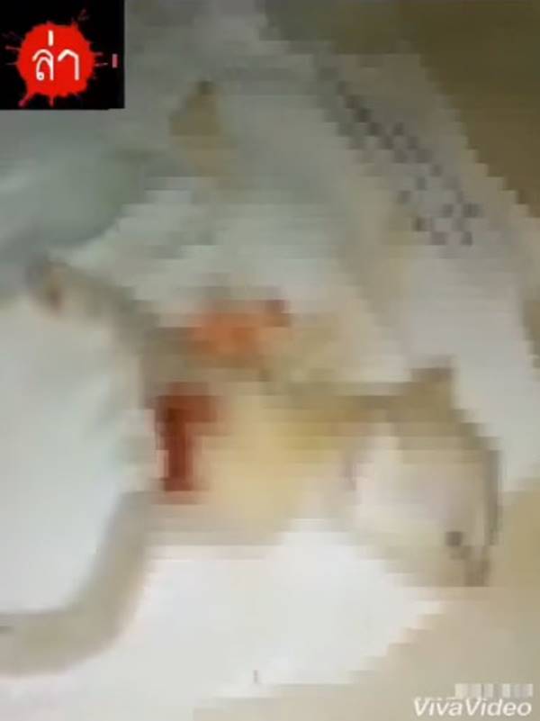 ฆ่าลูกแมว ฆ่าลูกแมว