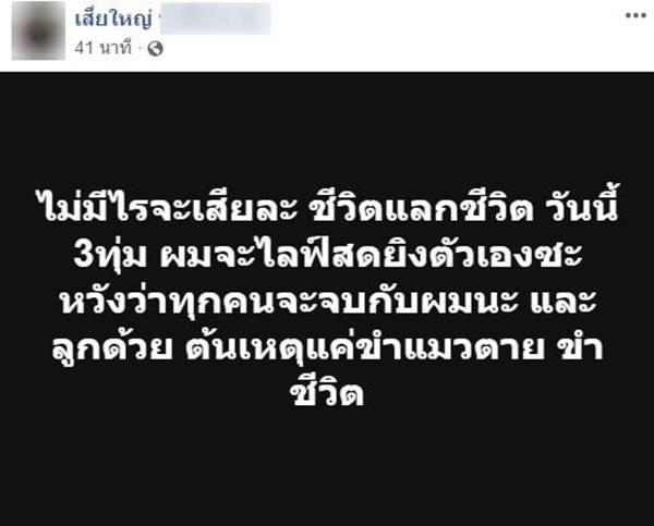 ฆ่าลูกแมว ฆ่าลูกแมว