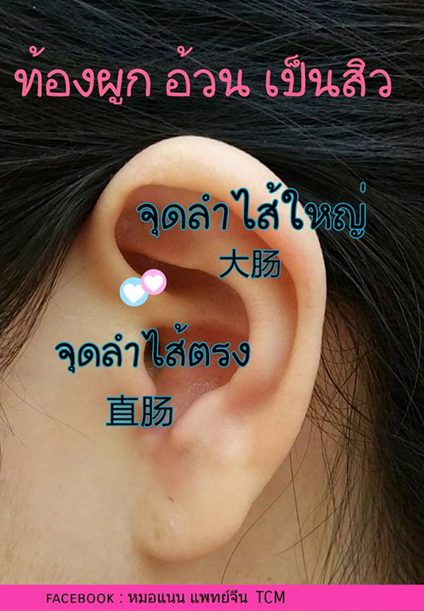 เมล็ดผักกาดแปะหู