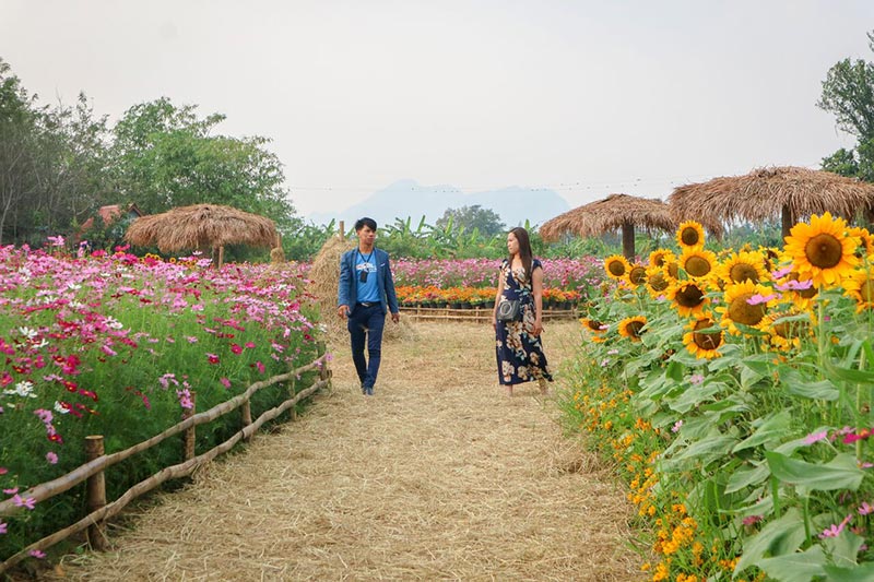 ต้นกล้าเกษตรแฟร์ สระบุรี ต้นกล้าเกษตรแฟร์ สระบุรี