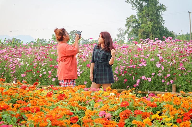 ต้นกล้าเกษตรแฟร์ สระบุรี ต้นกล้าเกษตรแฟร์ สระบุรี