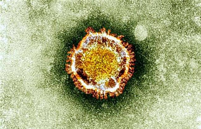 ไวรัสโคโรนาสายพันธุ์ใหม่ 2019-nCoV
