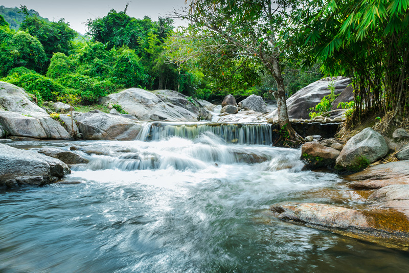 Suan Phueng, Ratchaburi, một địa điểm tham quan thực sự đáng để trải nghiệm.