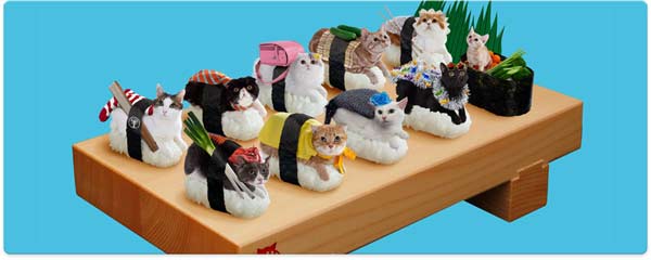 Neko Zushi ซูชิแมว เกมมือถือ