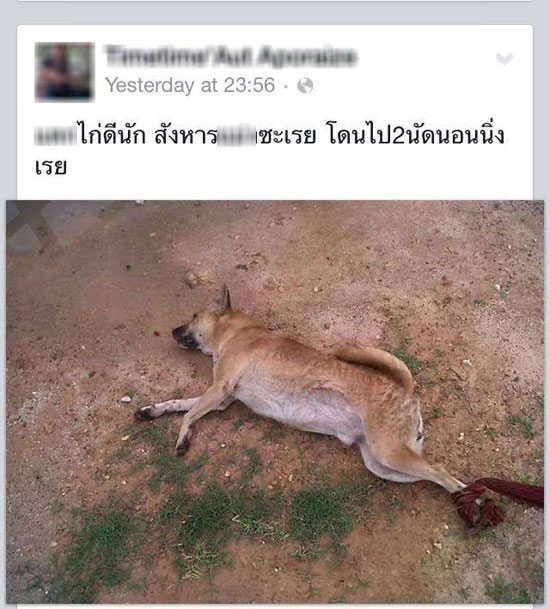 หนุ่มโพสต์ภาพยิงสุนัขตาย เหตุแค้นไปกัดไก่