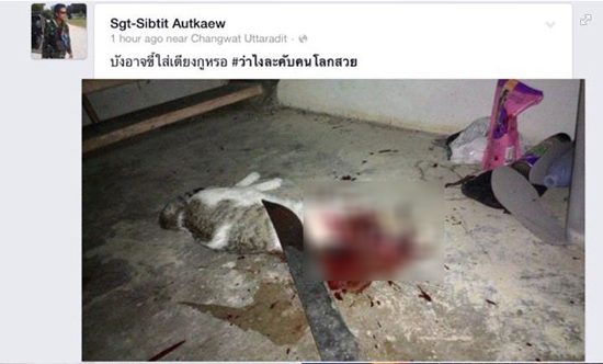 หนุ่มใจโหด โพสต์รูปฟันหัวแมวขาดลงเฟซ บอกโกรธอุจจาระใส่ที่นอน